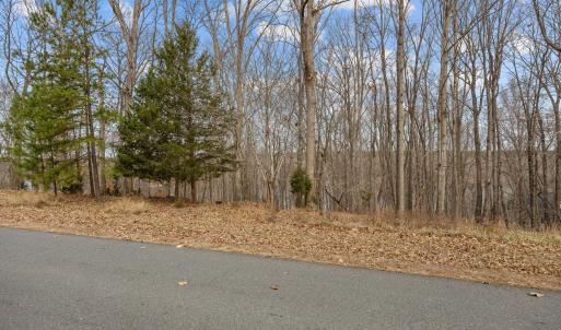 15-web-or-mls-1768 Rocky Cove Ln EXT015