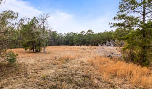 4601NorthwestRdLot-113