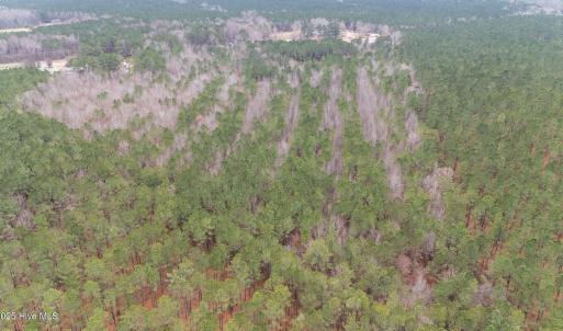 5-web-or-mls-DJI_20251229111918_0462_D