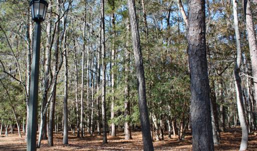 Woodsy Riversdge Homesite
