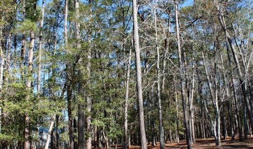 Large Combined Lot Wooded Homesite