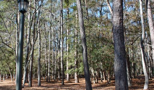 Woodsy Riversdge Homesite