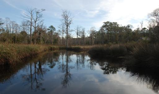Mitchells Creek