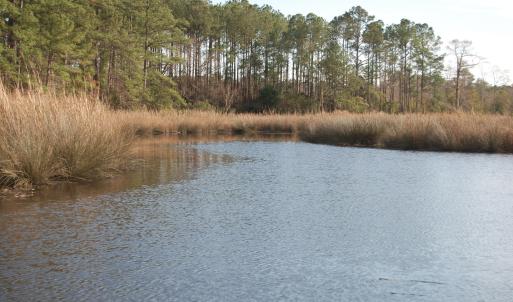Mitchells Creek