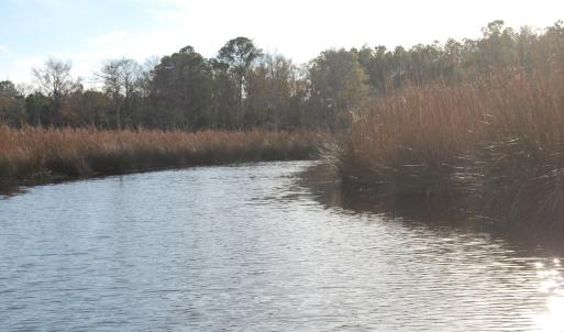 Mitchells Creek