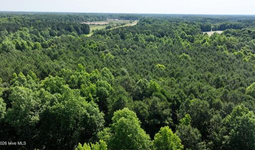 3) 66471-69619eddcbf46