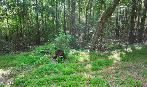 21) 66471-69619f0ee9686