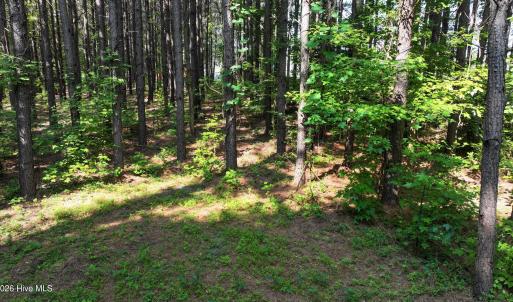 16) 66471-69619ef64e752