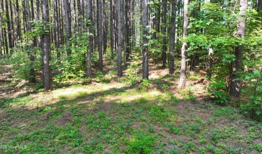 23) 66471-69619f15e6d66