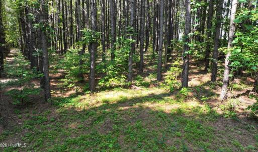 17) 66471-69619efd3cefa