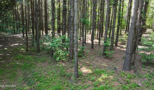 19) 66471-69619f0280c89