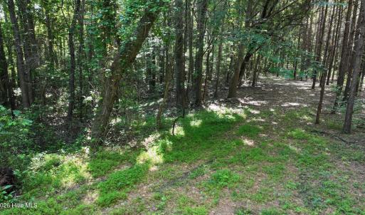 20) 66471-69619f0597cdc