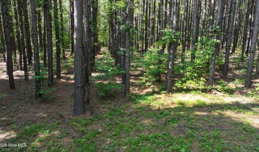 18) 66471-69619ef9e261b