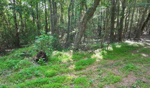 22) 66471-69619f101d3e1