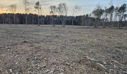 9) 66605-695dabe550a12