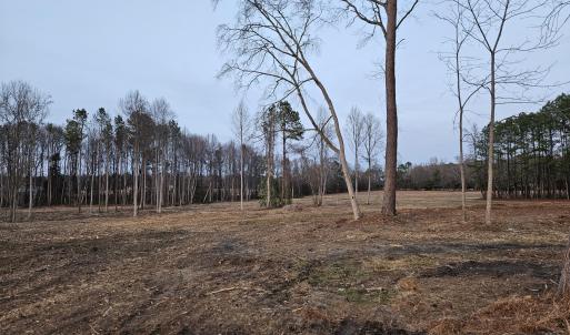 4) 66605-695dabcae1545