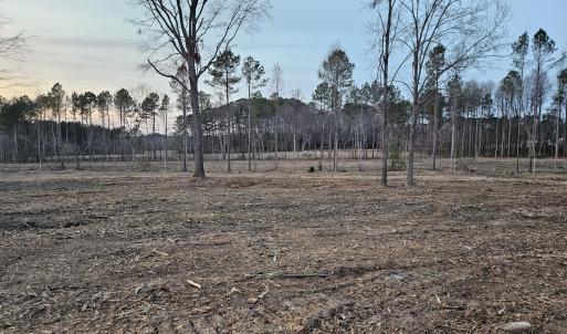 5) 66605-695dabcae229e