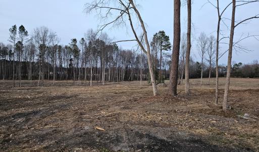 3) 66605-695dabcae118a