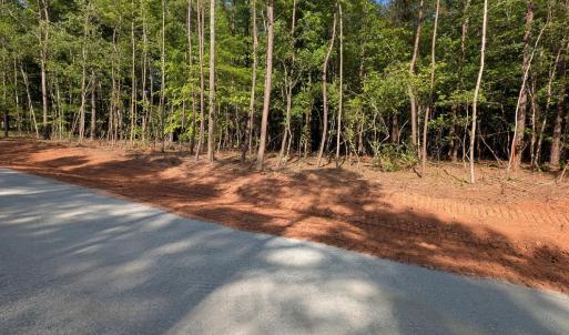 PXL_20250429_201925245~2