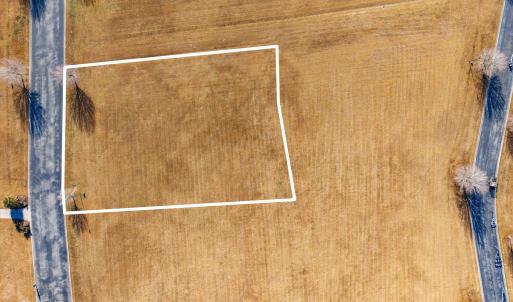 37-web-or-mls-chadwick-visuals-120-water