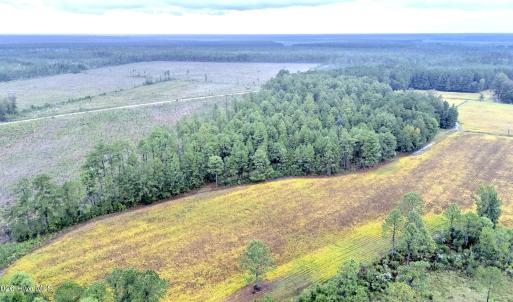 Egypt Road Northwest, Brunswick County,