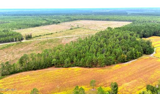 Egypt Road, Brunswick County, NC-31