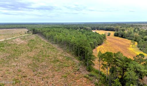 Egypt Road, Brunswick County, NC-50