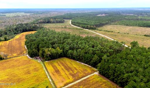 Egypt Road, Brunswick County, NC-25