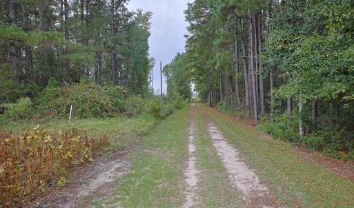 Egypt Road, Brunswick County, NC-14