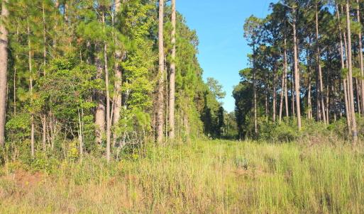 b1402fca-6cf0-41fe-994f-1b05ee7bf317