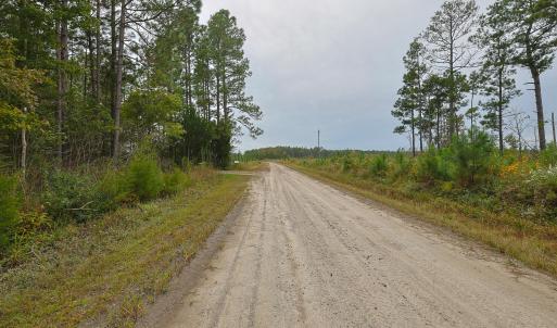 Egypt Road, Brunswick County, NC-21