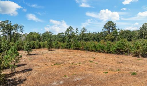 13-web-or-mls-DJI_0426