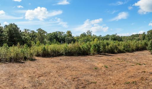 12-web-or-mls-DJI_0425