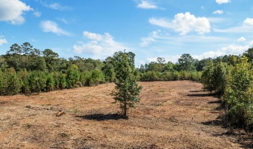 11-web-or-mls-DJI_0424