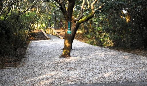 Beach Access Parking