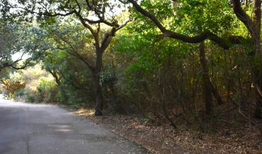 Street View 2