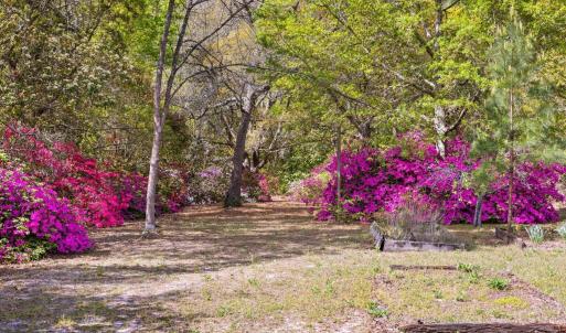 20250506161817404018000000-o