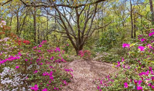 20250506161610996725000000-o