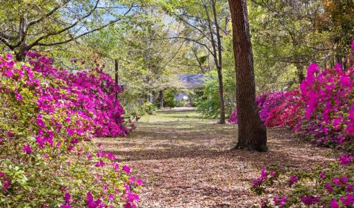 20250506161929838166000000-o