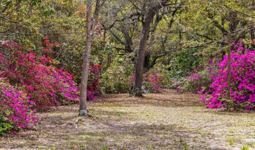 20250506161742957506000000-o