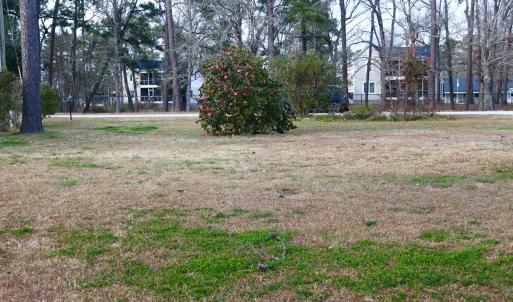 Looking toward street