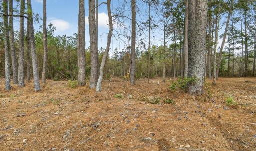 01-Finished 2162 Old Pamilco Beach Rd (1