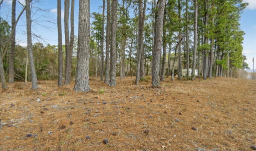 02-Finished 2162 Old Pamilco Beach Rd (2