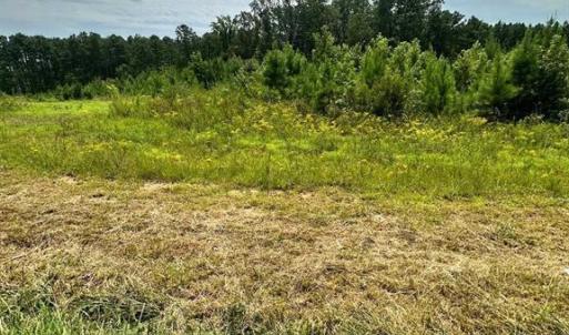 Lot 2 Photo 2