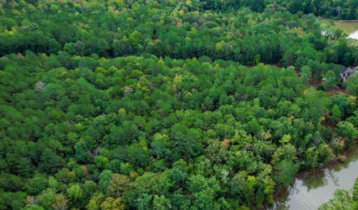 16) 66300-6961bd6a9ce8d