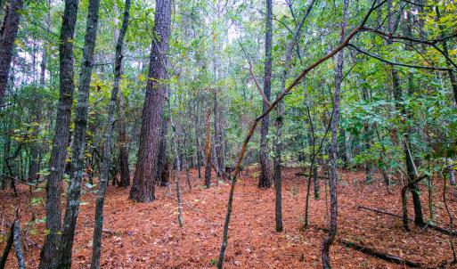 25) 66300-6961bd08156b9