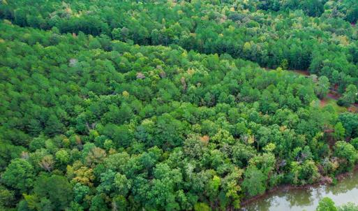 15) 66300-6961bd3ee28e5