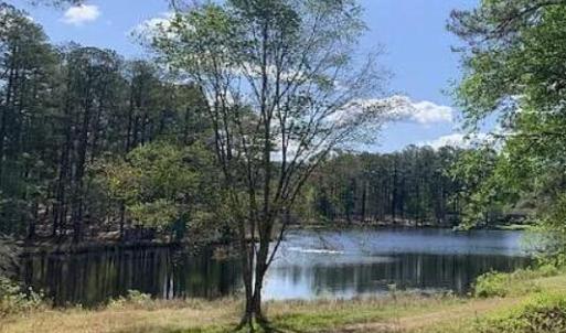 Pond View in Stones Throw