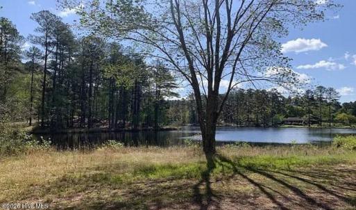 Pond View in Stones Throw