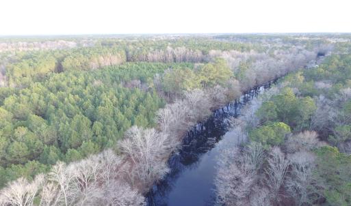 Holly Shelter Creek